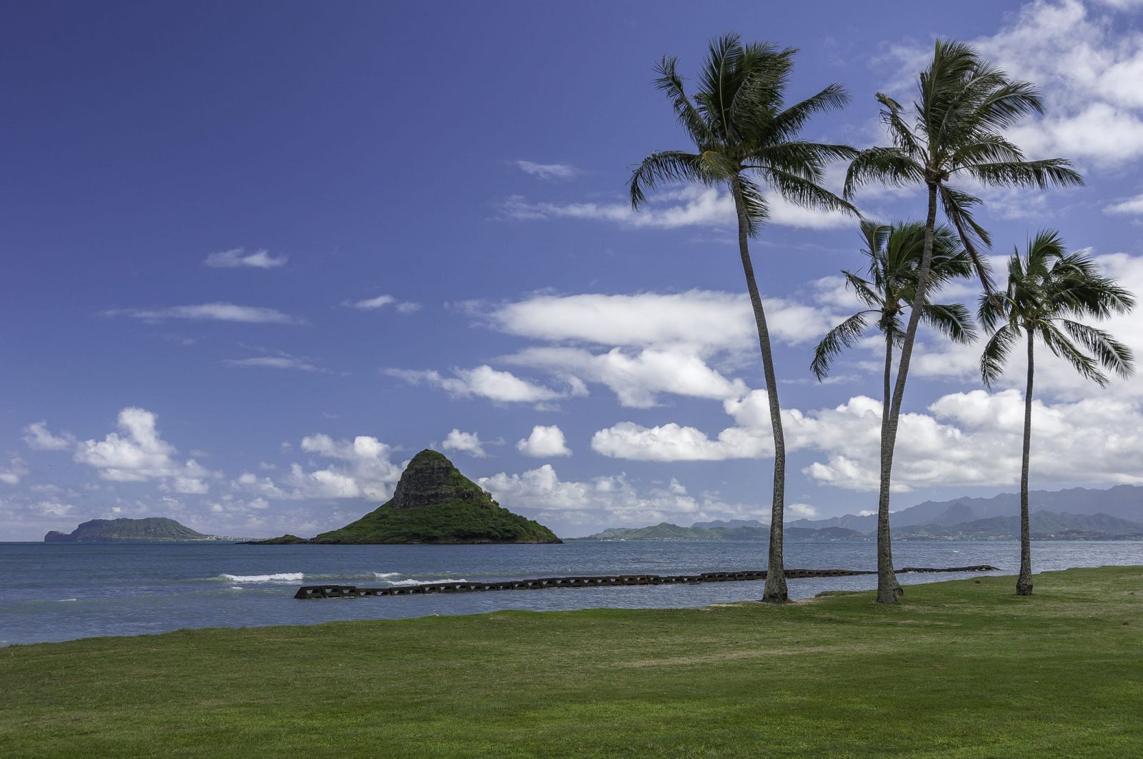 HAWAII VIET TOURS & TRANSPORTATION