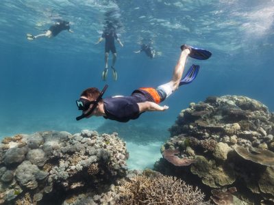Snorkeling & Diving